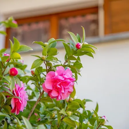 Easy Welcome Primula - Apartment *