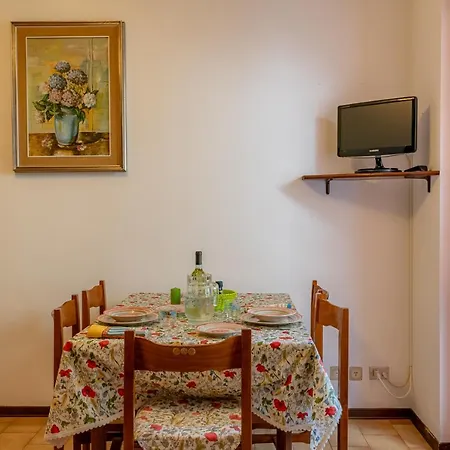 Easy Welcome Primula - בלאג'יו